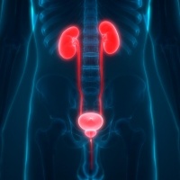 Renal Problems