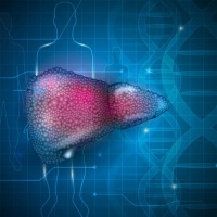 Medicines for organ systems