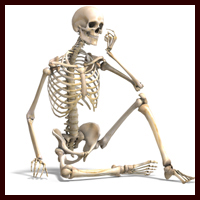 Skeletal System