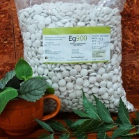 Eg 900 Tab